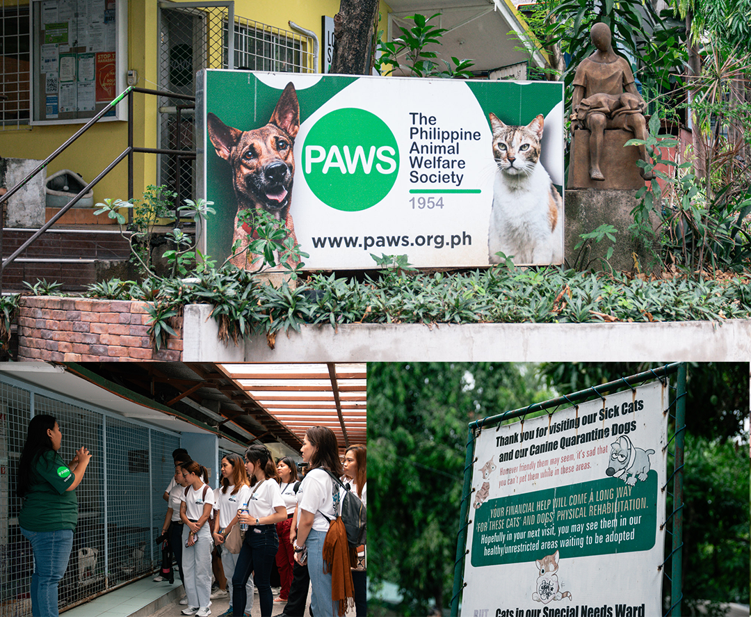 PAWS: Protecting Animals